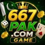 667 PAK Game