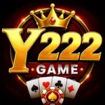 Y222 Game